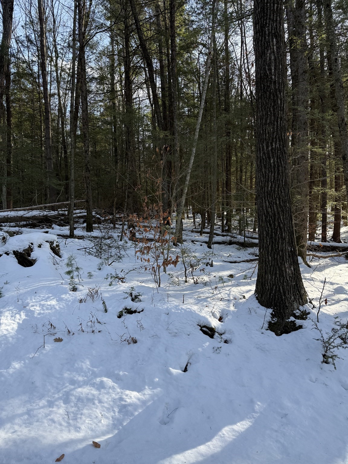 0 Four Mile Brook Rd Property Photo 5