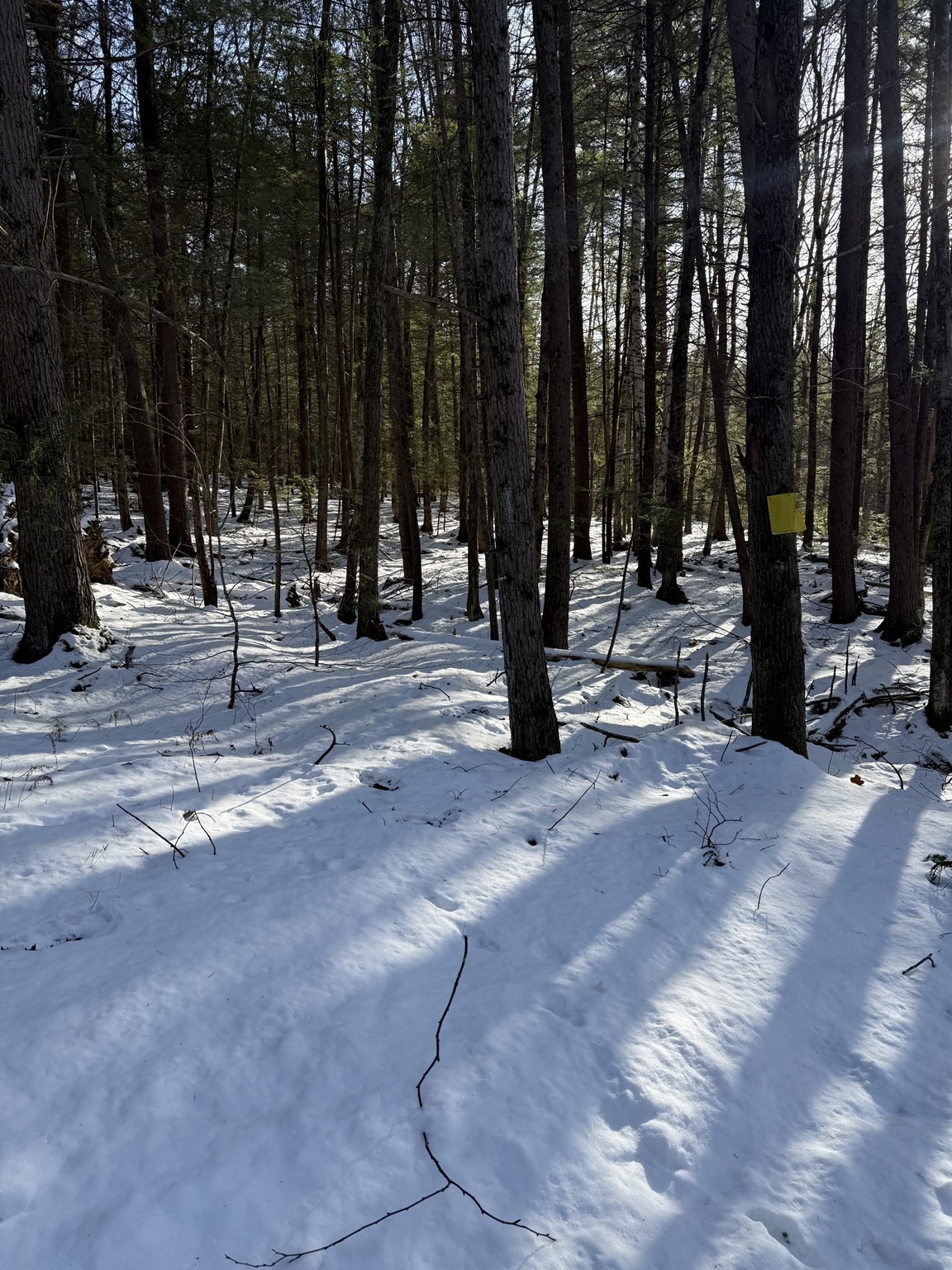 0 Four Mile Brook Rd Property Photo 10