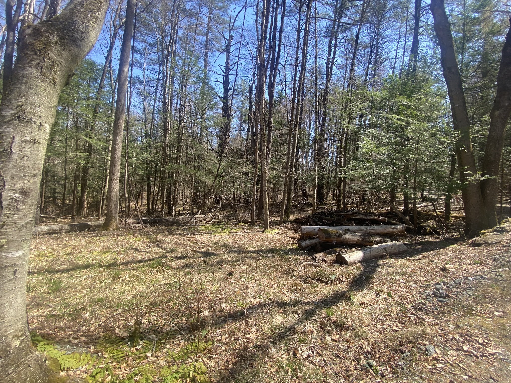 0 Schaefer Way Property Photo 3