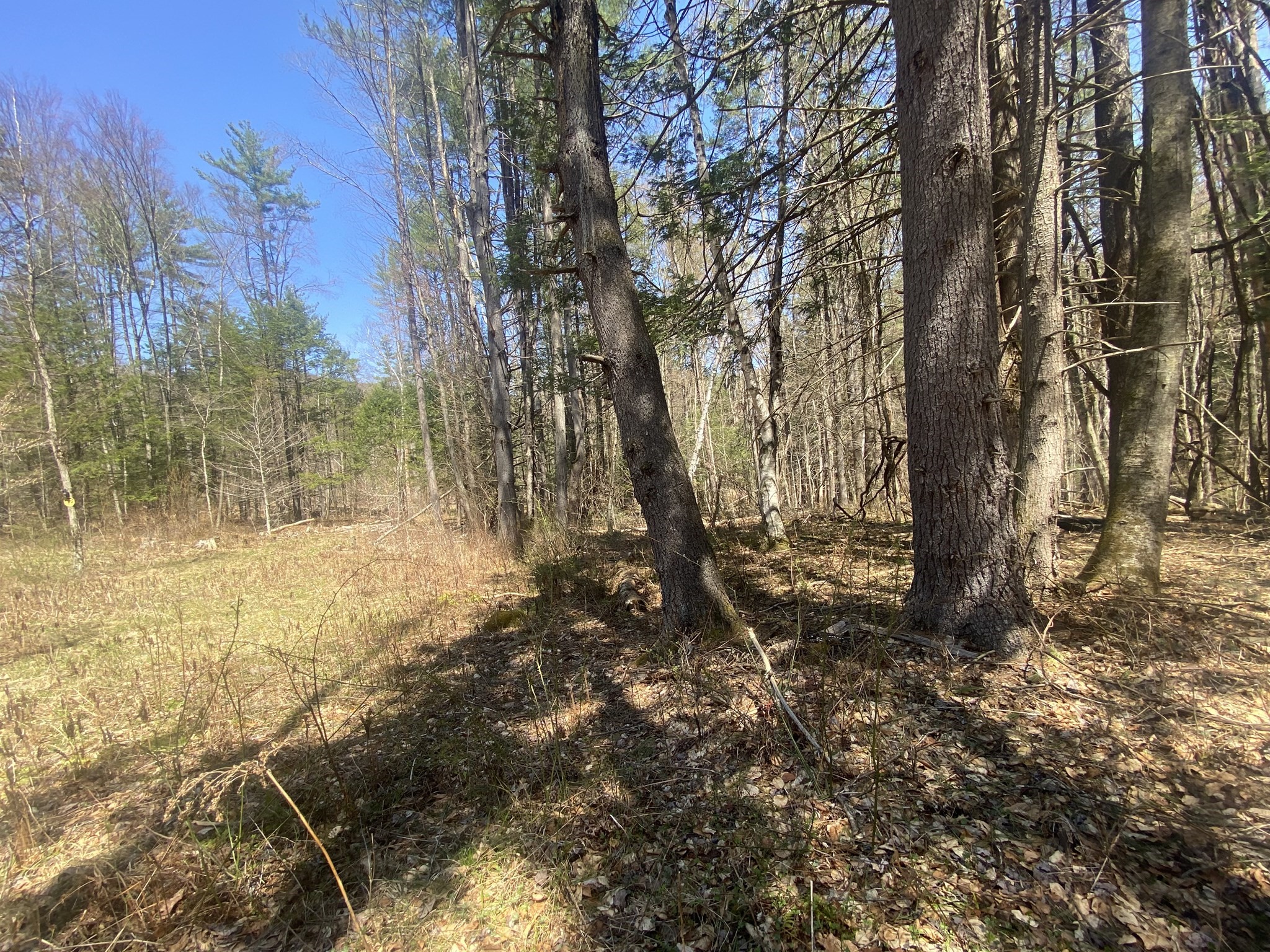 0 Schaefer Way Property Photo 6