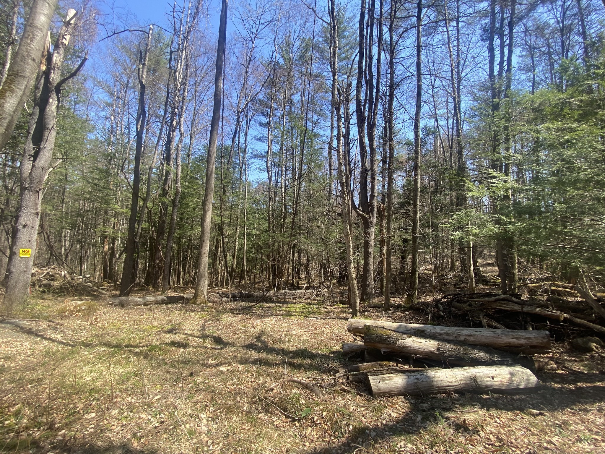 0 Schaefer Way Property Photo 12