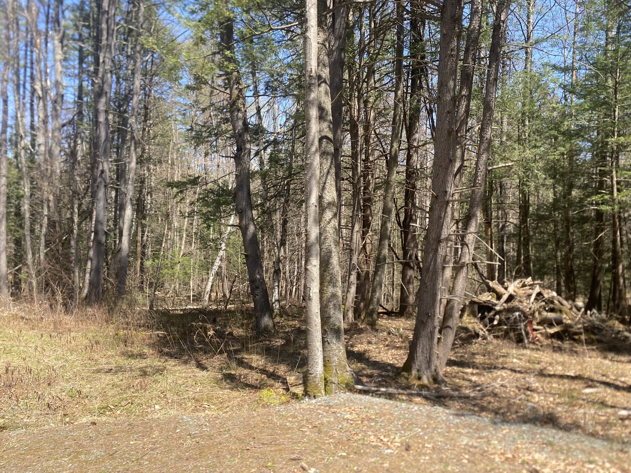 0 Schaefer Way Property Photo 15