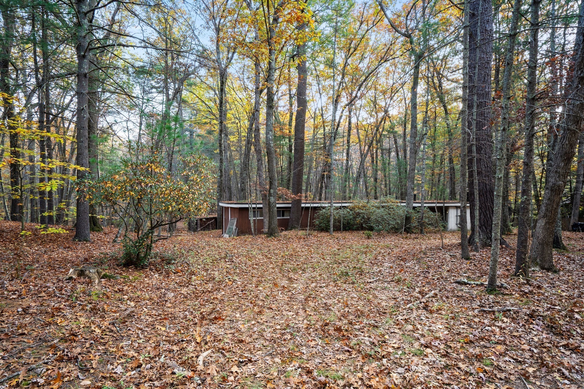 89 Lexington Road Property Photo 3