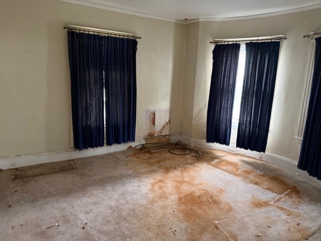 25-25a Charlotte St Property Photo 10