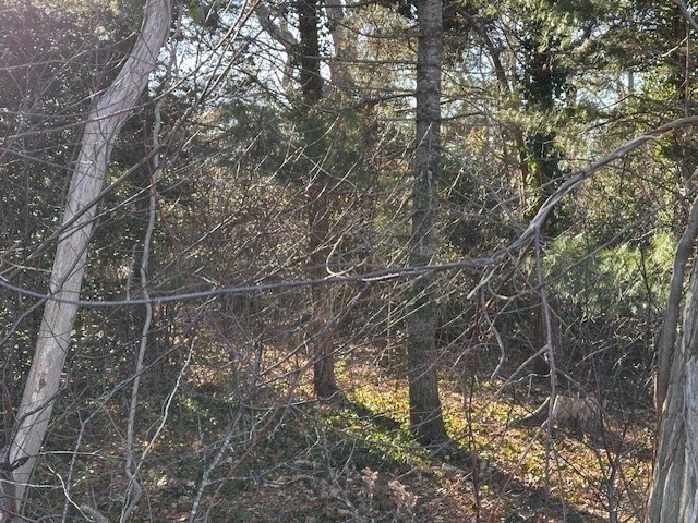 568 Route 6a Property Photo 9