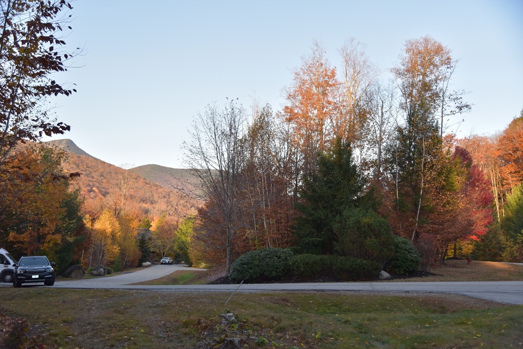 16 Yellow Birch Cir Property Photo 1