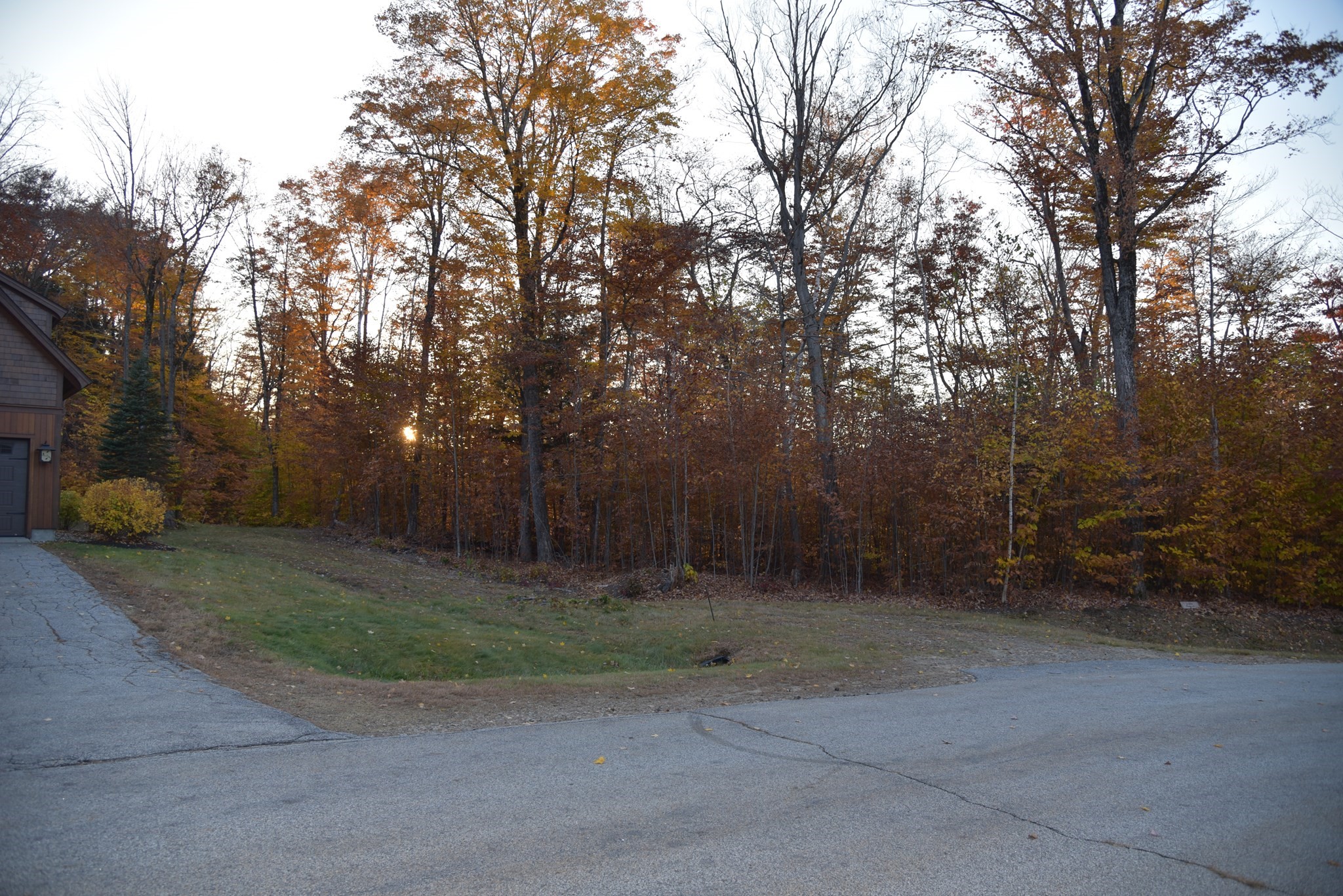 16 Yellow Birch Cir Property Photo 2