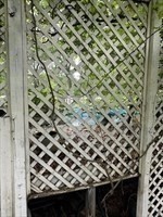80 Bungalow Street Property Photo 15