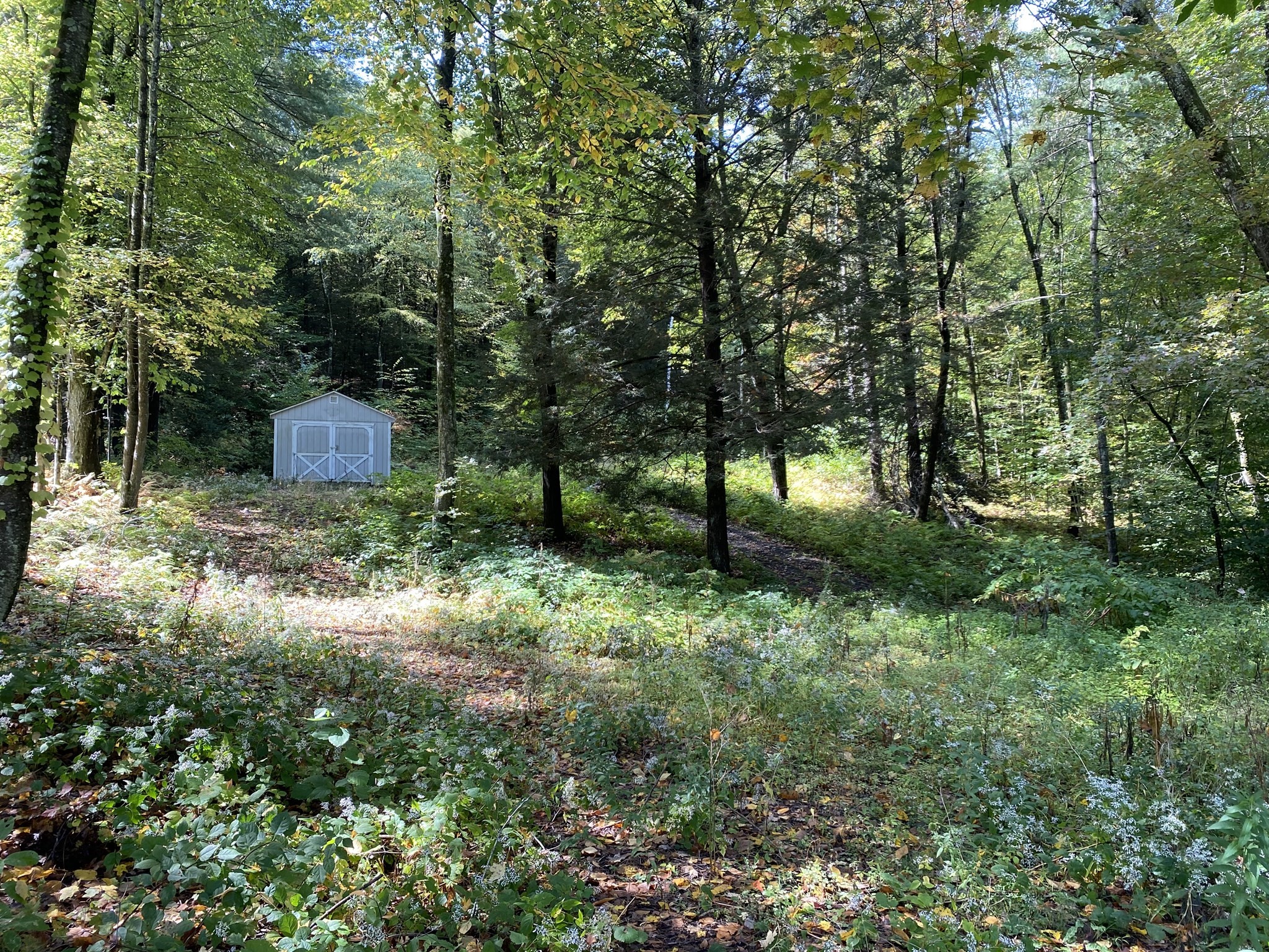 Lots A-c Federal St Property Photo 1