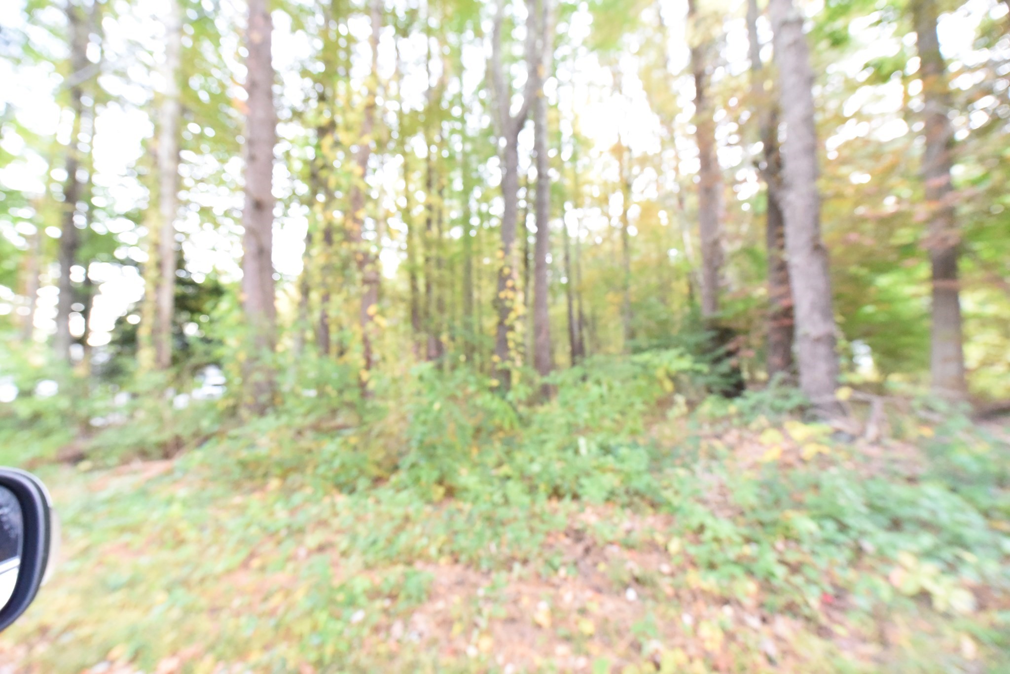 18 Highfield Drive Property Photo 1