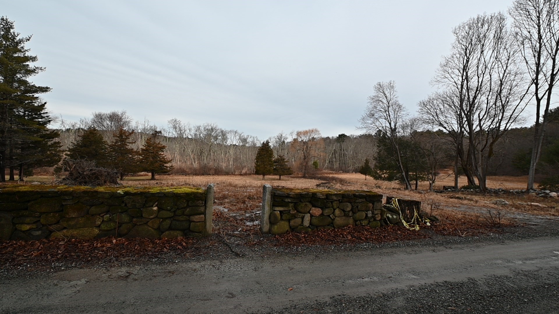333 Cartwright Rd Property Photo 4