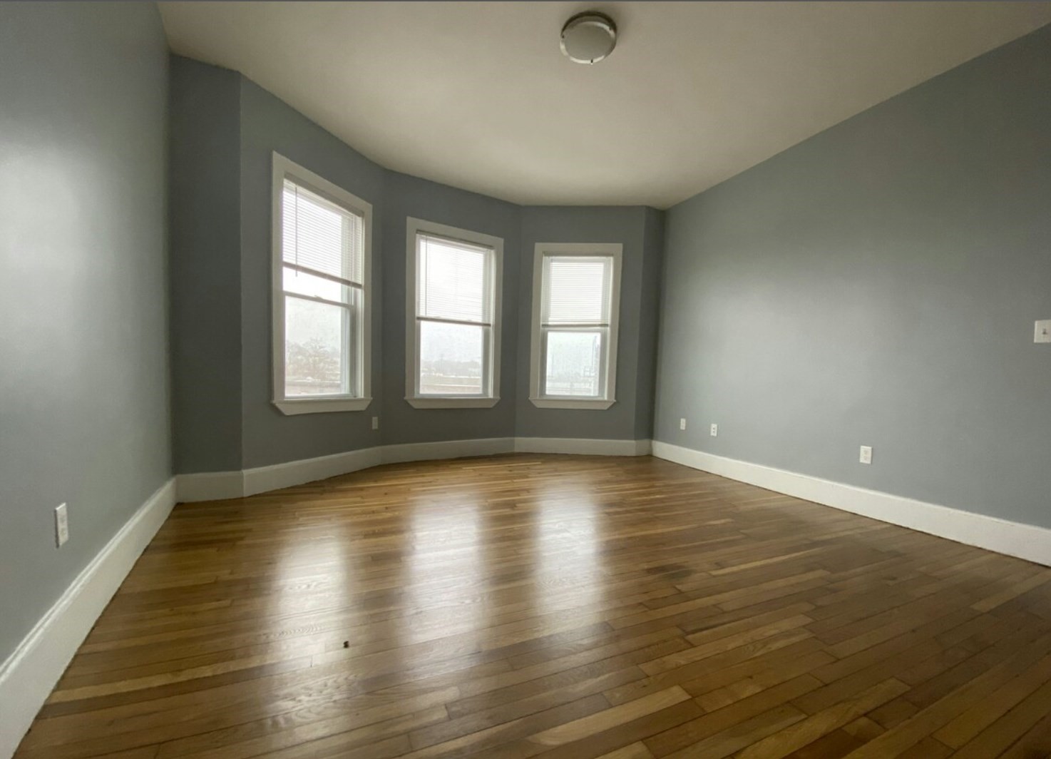 301 Hancock Street # 2 Property Photo 4