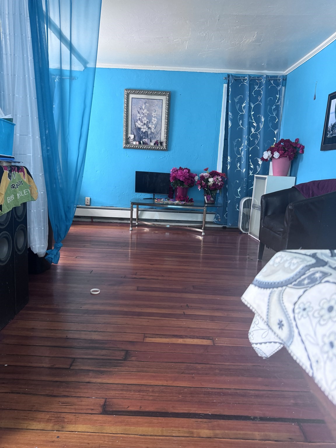 18 Lawrence St Property Photo 3