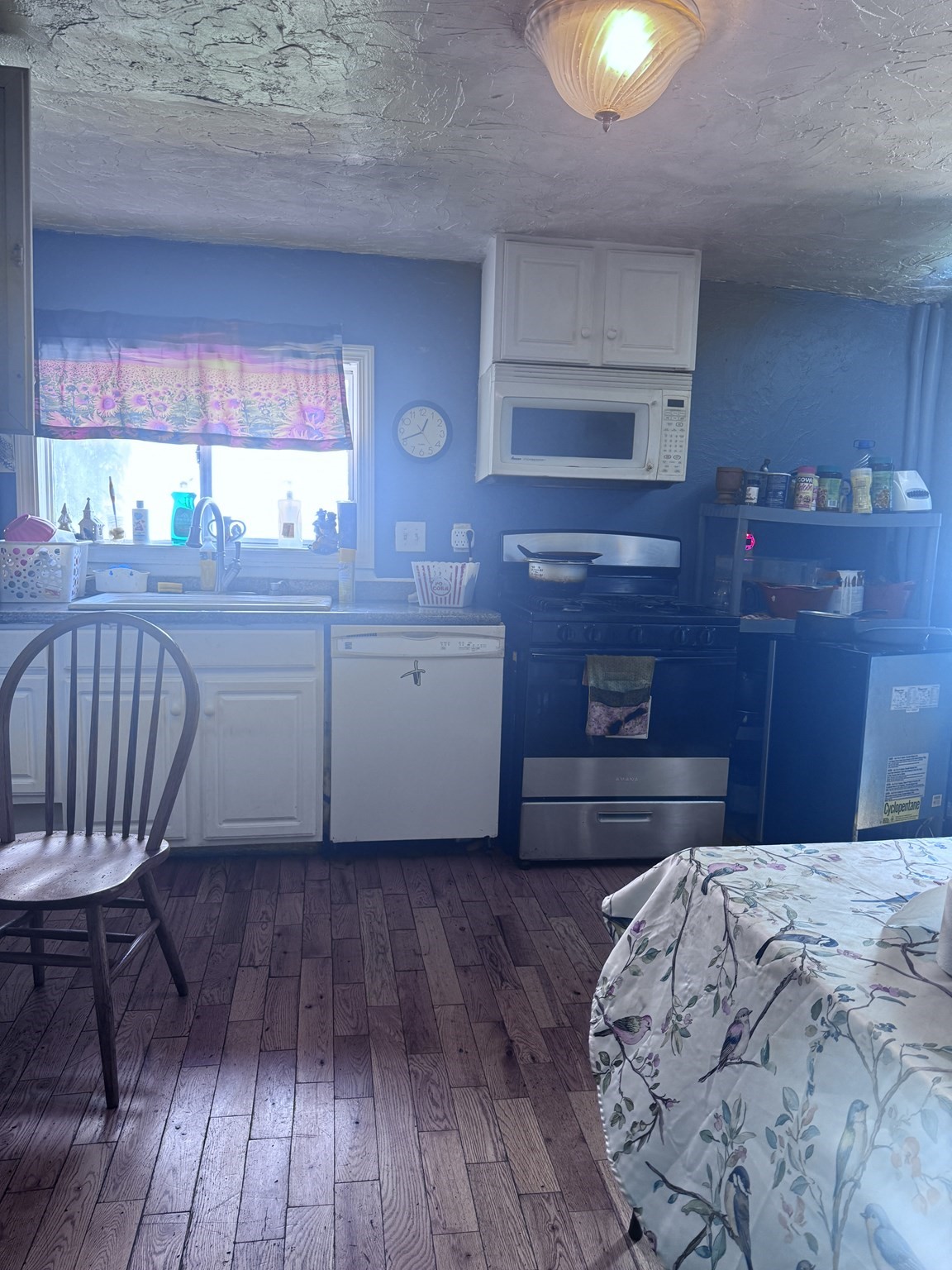 18 Lawrence St Property Photo 4