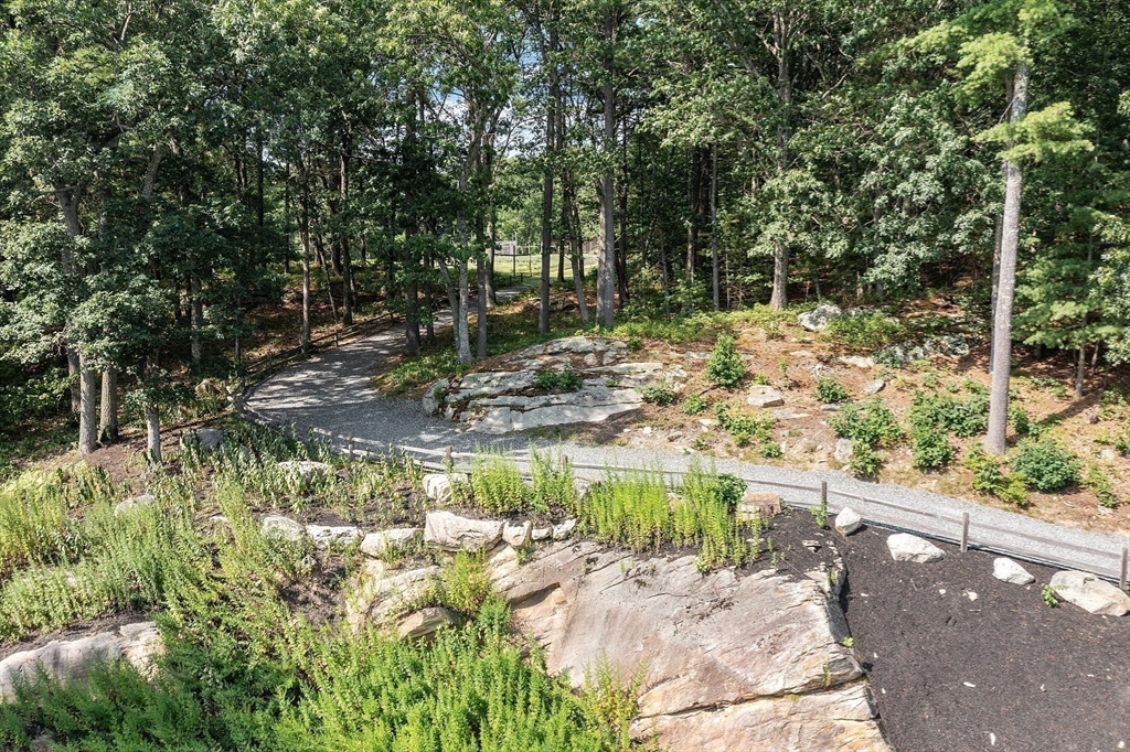 9a Ashley Road Property Photo 35