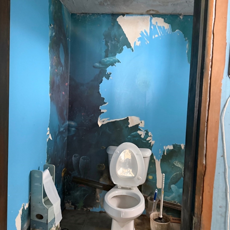 72 Park Rd Property Photo 21