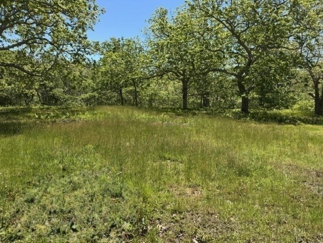45 Quenames Rd Property Photo 12