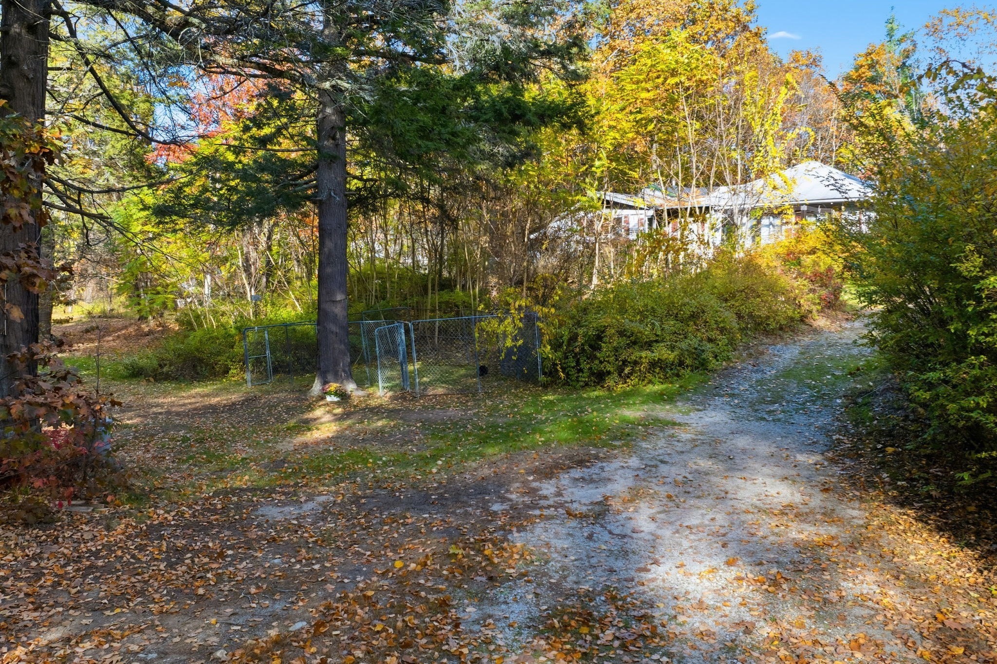 143 Heald Street Property Photo 7