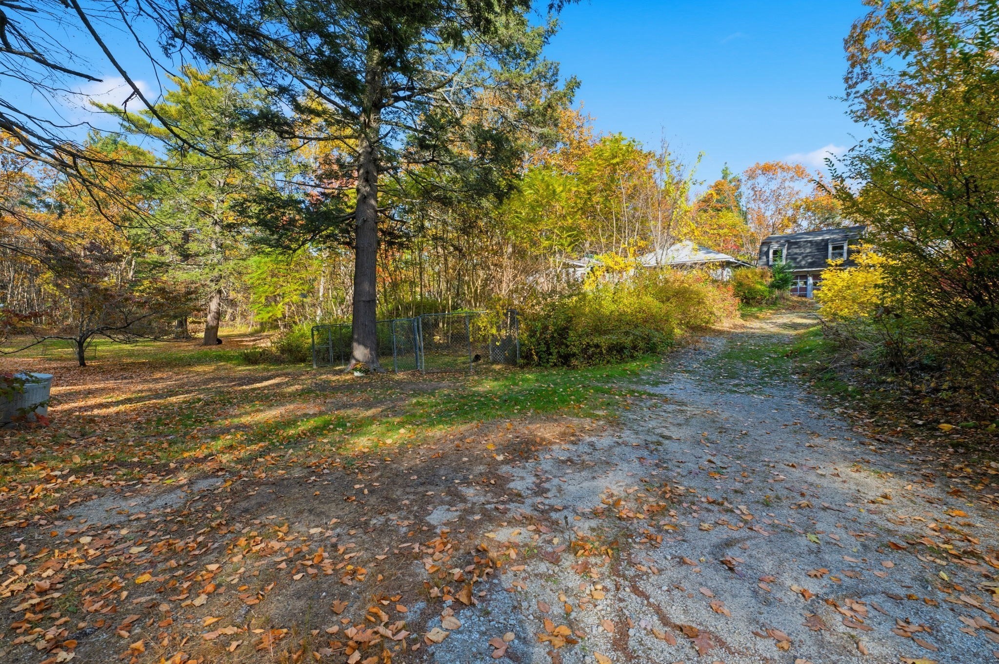 143 Heald Street Property Photo 10