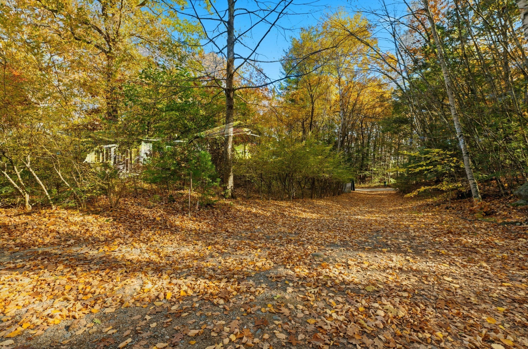 143 Heald Street Property Photo 11