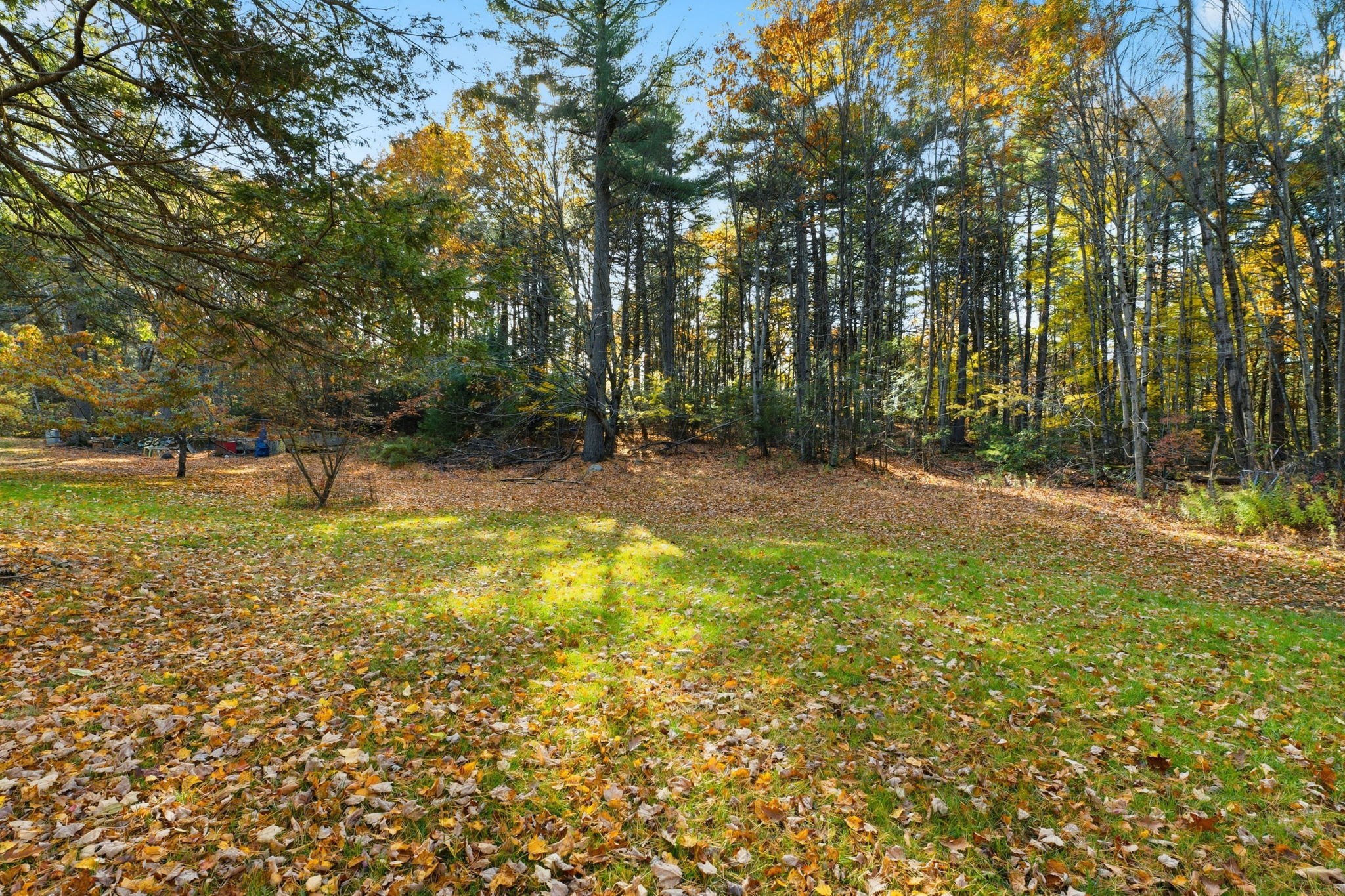 143 Heald Street Property Photo 13