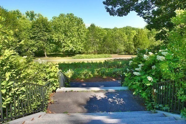 77 Pond Avenue # 401 Property Photo 16