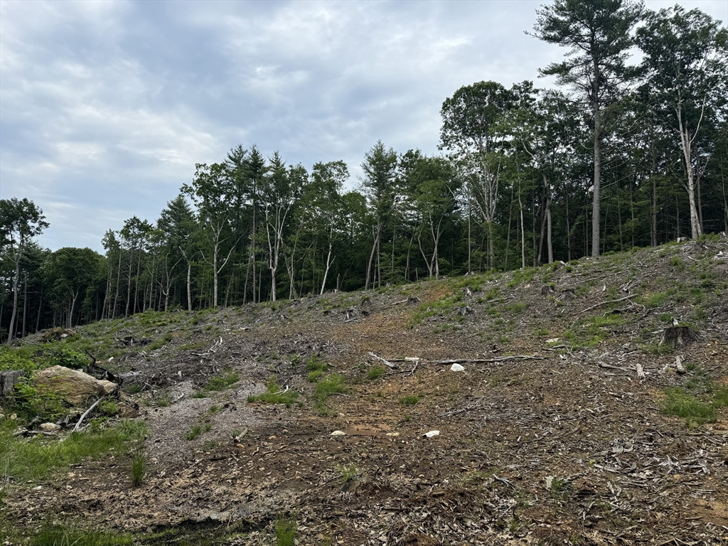 0 Alpine Property Photo 3