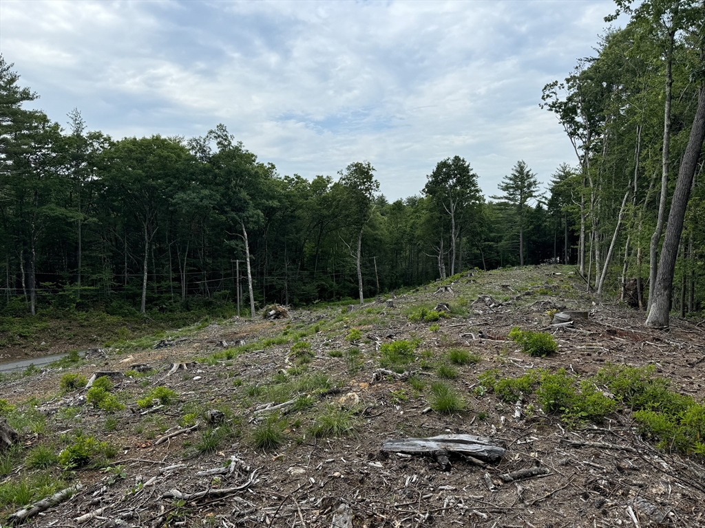 0 Alpine Property Photo 4