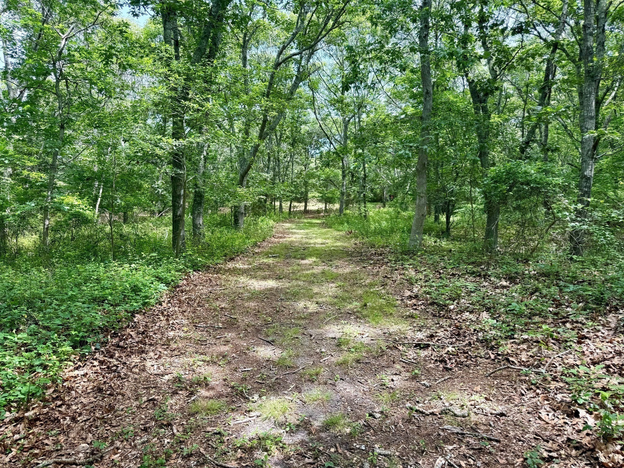 00 Old Field Rd Property Photo 6