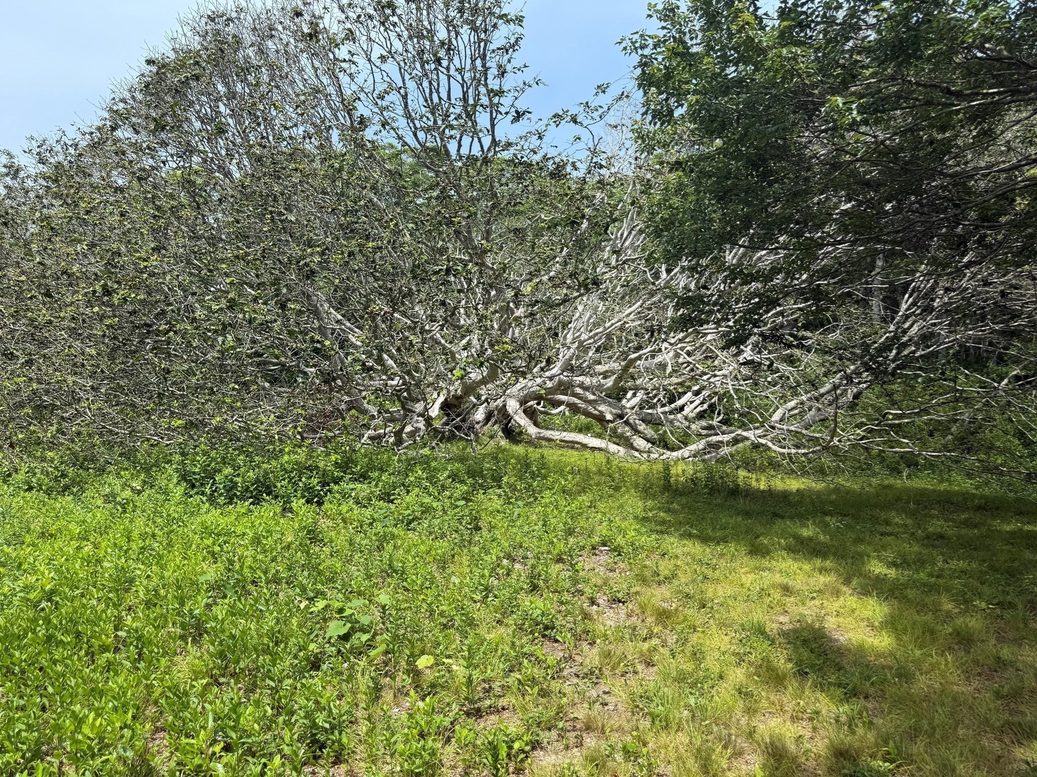00 Old Field Rd Property Photo 8