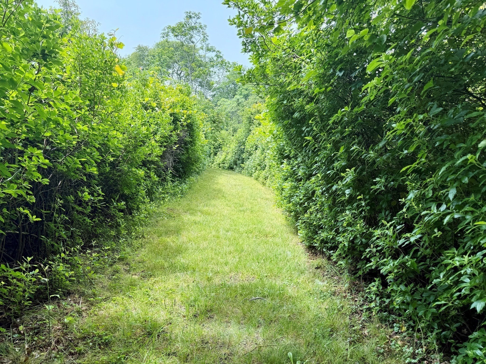 00 Old Field Rd Property Photo 9