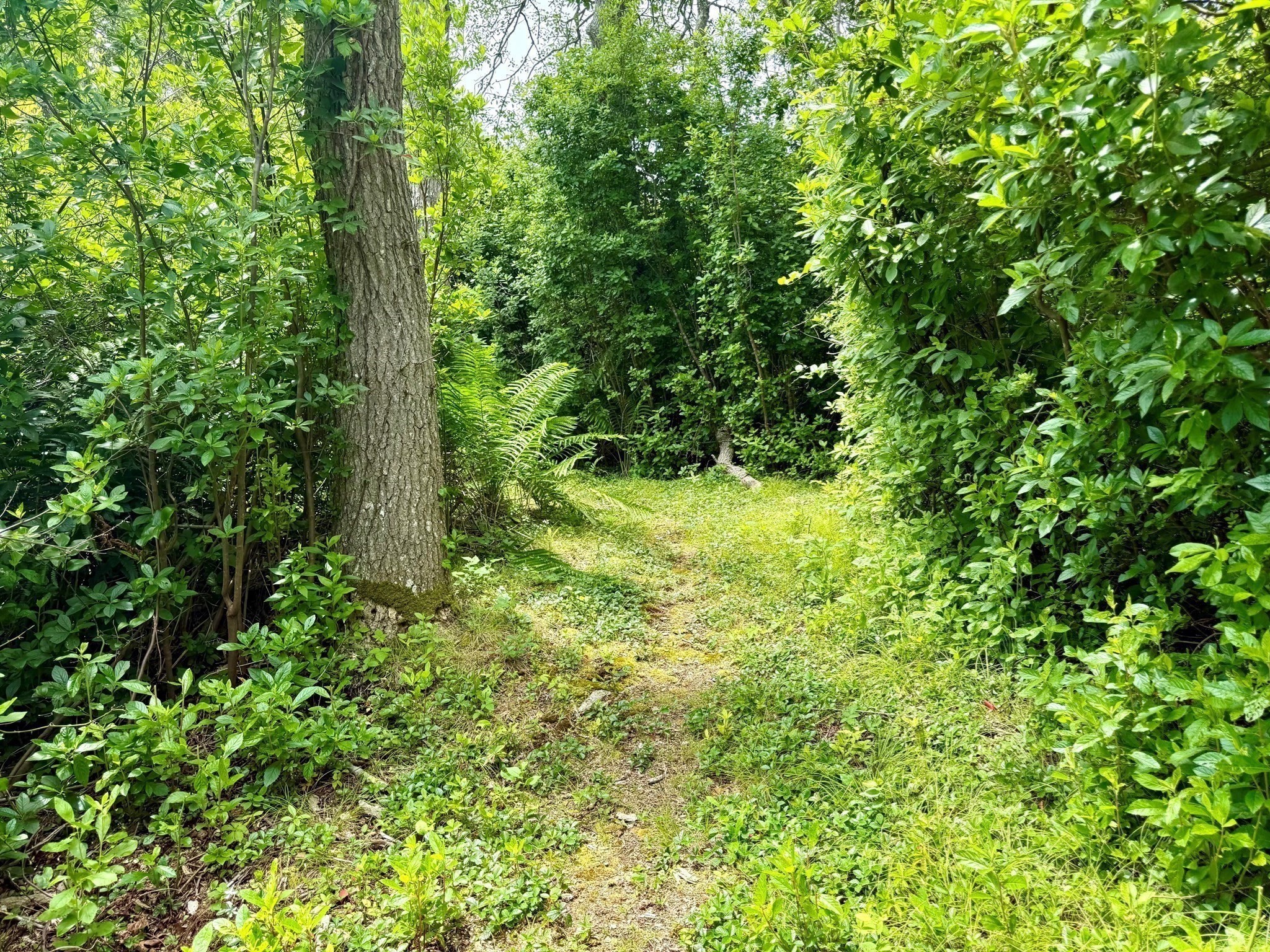 00 Old Field Rd Property Photo 10