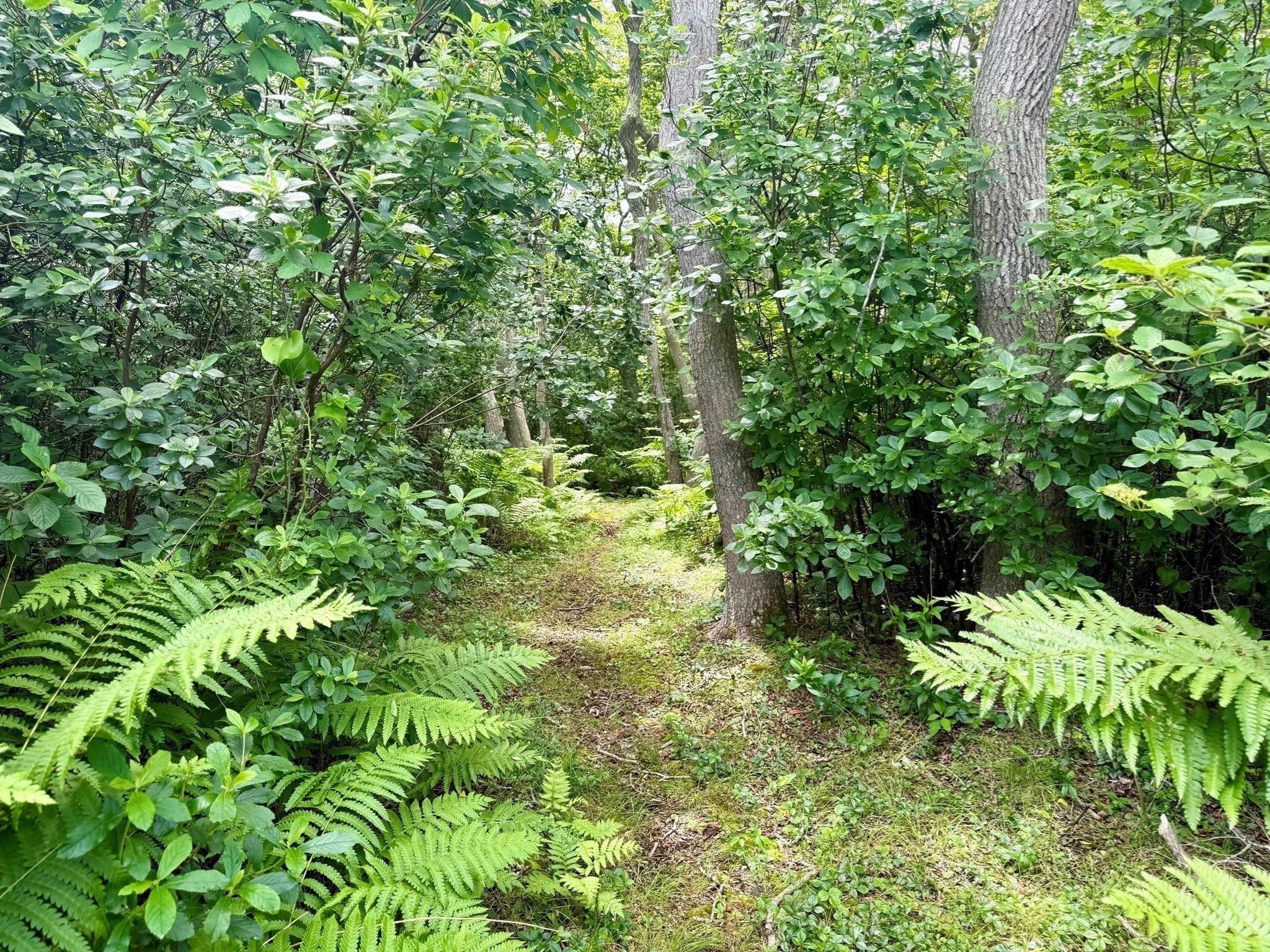 00 Old Field Rd Property Photo 11