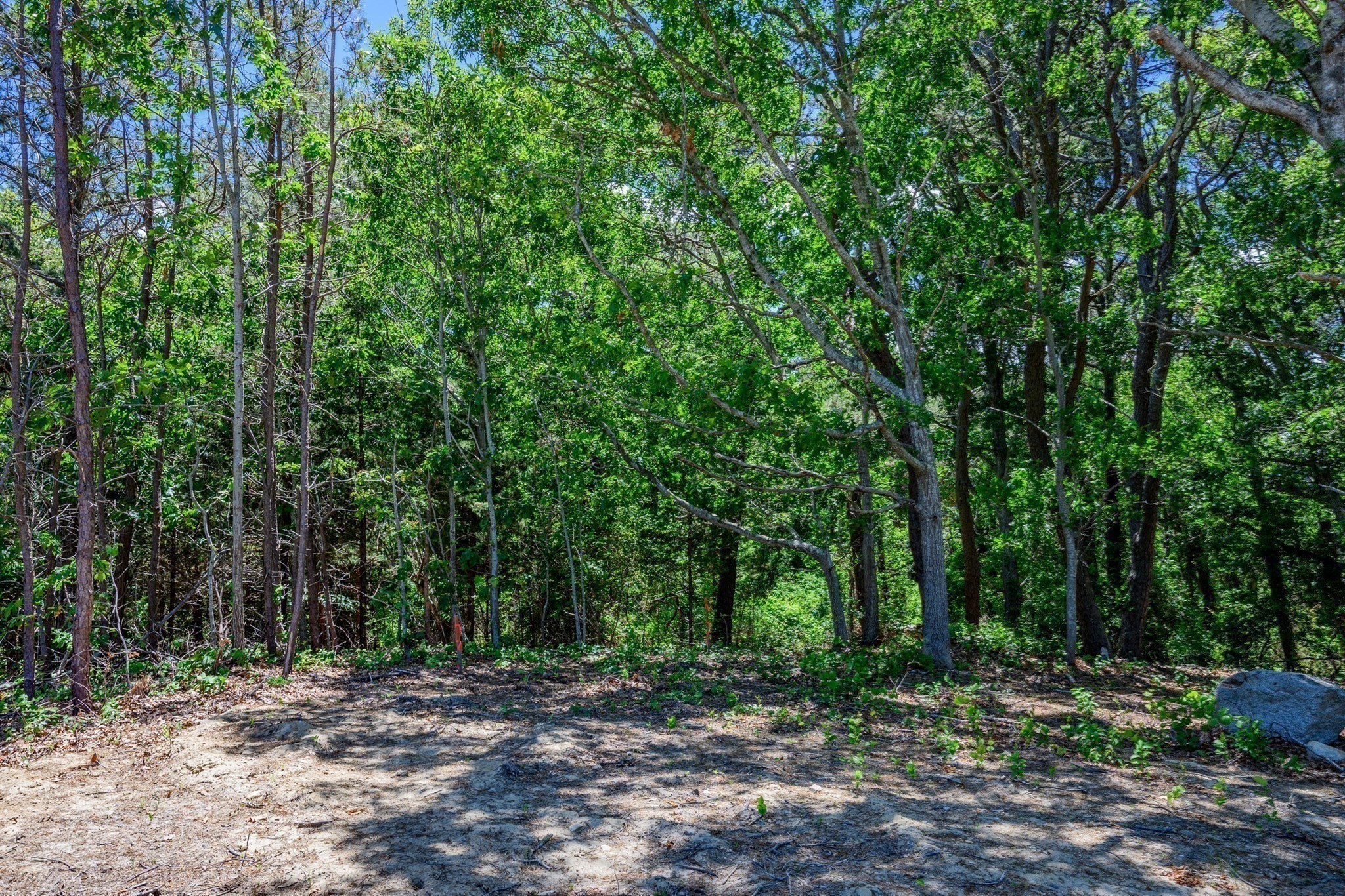 0 Ridgewood Dr. Property Photo 15