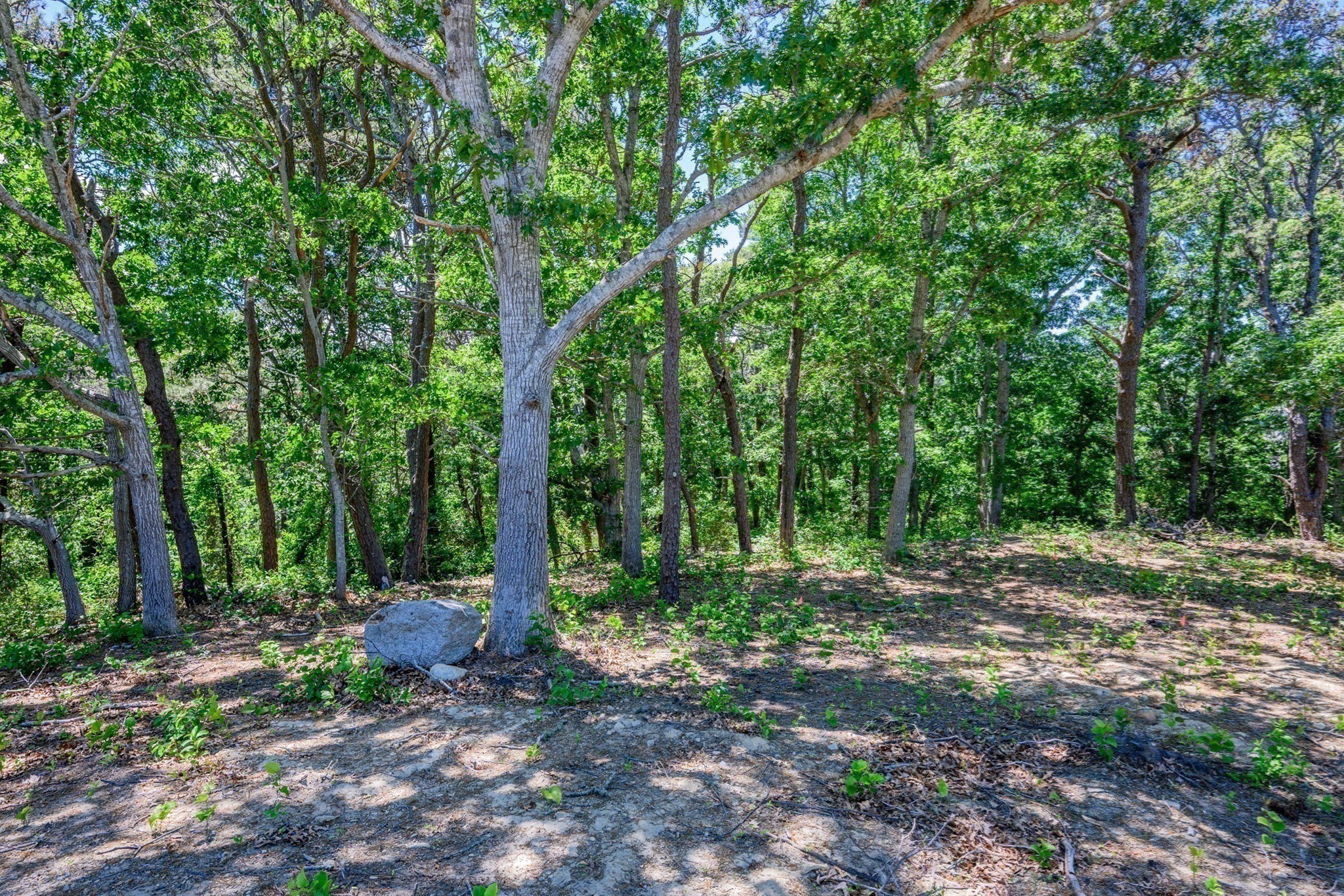 0 Ridgewood Dr. Property Photo 17