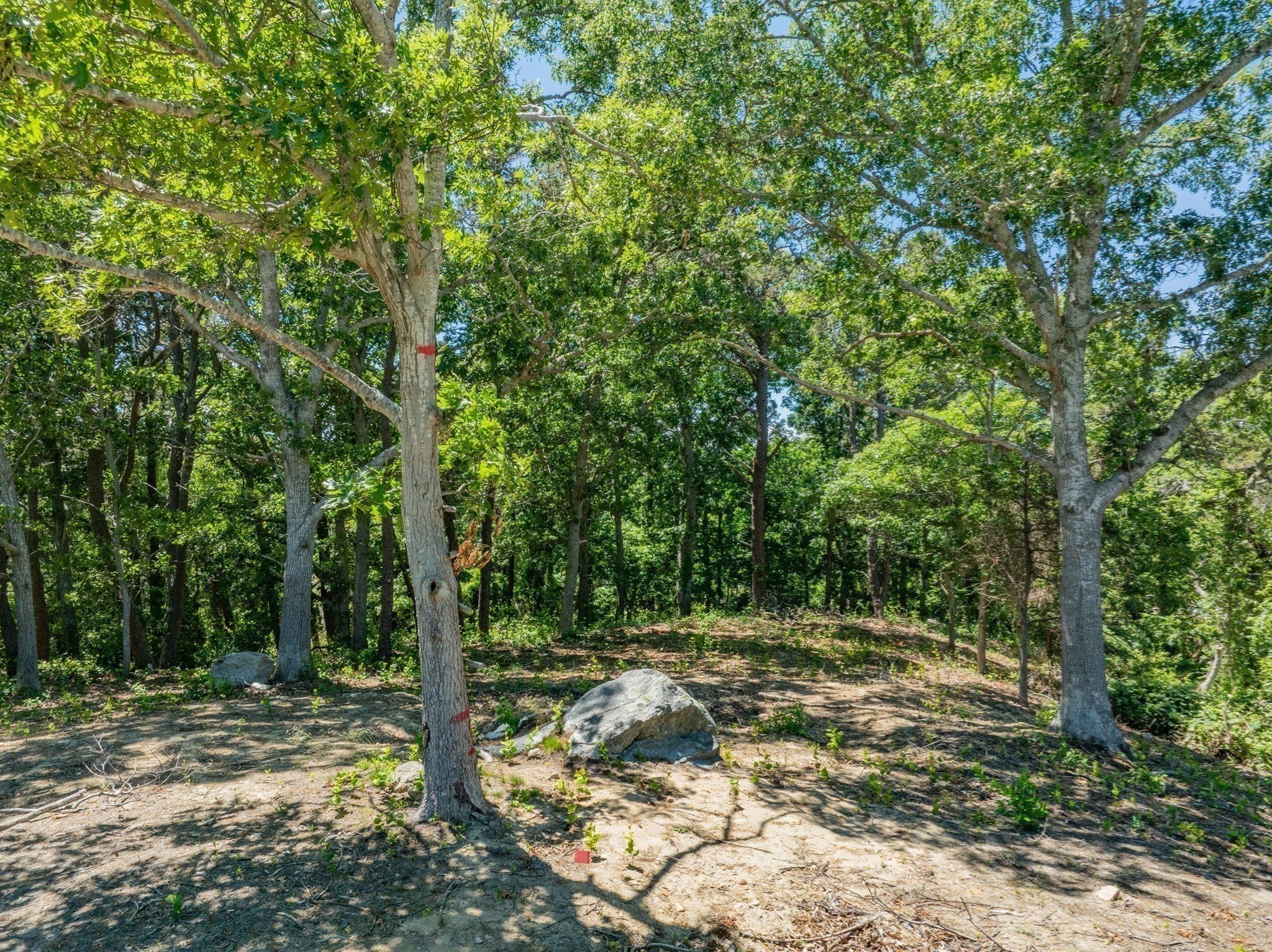 0 Ridgewood Dr. Property Photo 20