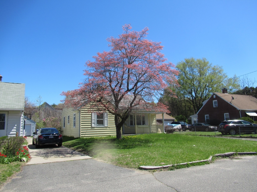33 Connolly St Property Photo 2