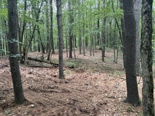 Lot B Willow Road Property Photo 1