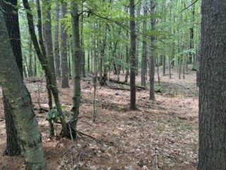 Lot B Willow Road Property Photo 2