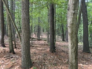 Lot B Willow Road Property Photo 3