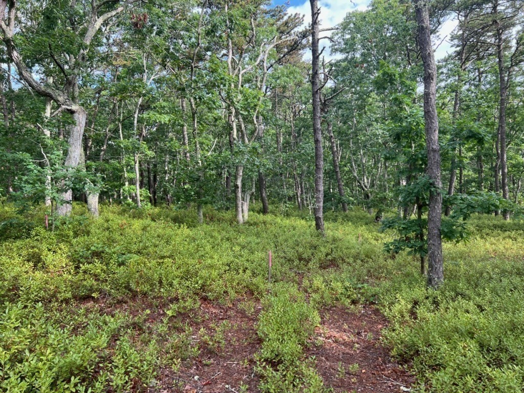 37 Oak Valley Rd Property Photo 1