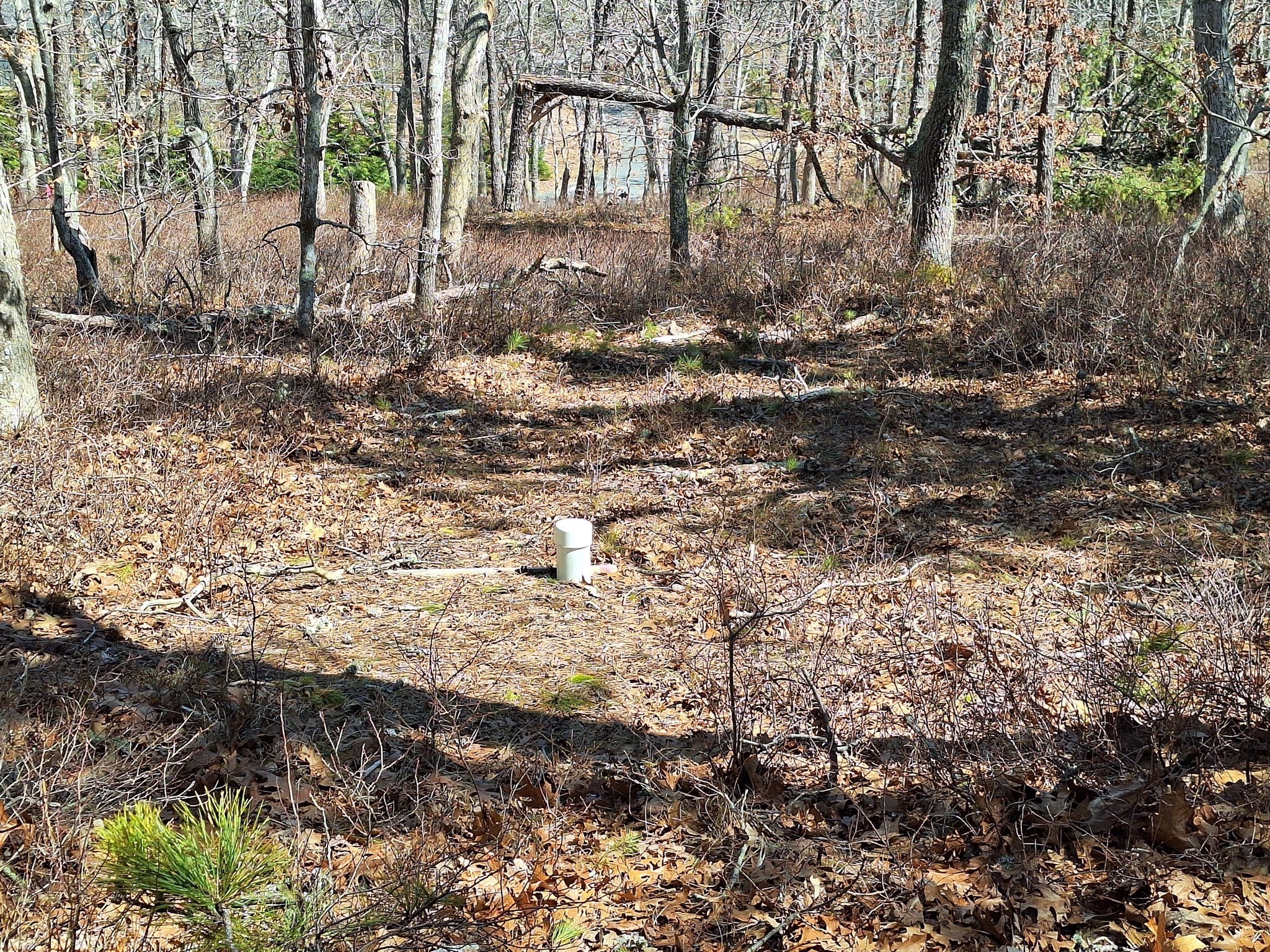 37 Oak Valley Rd Property Photo 8