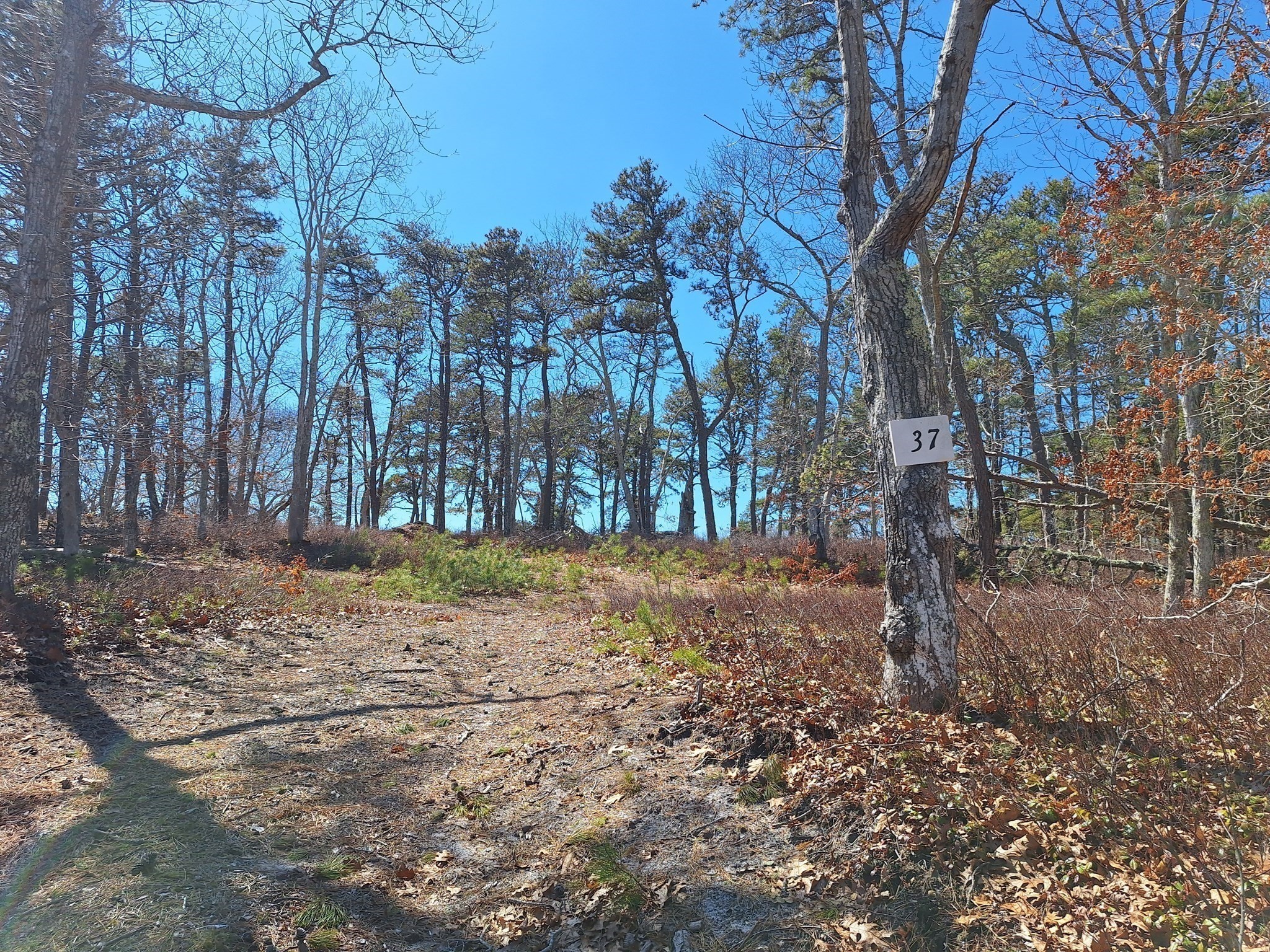 37 Oak Valley Rd Property Photo 11