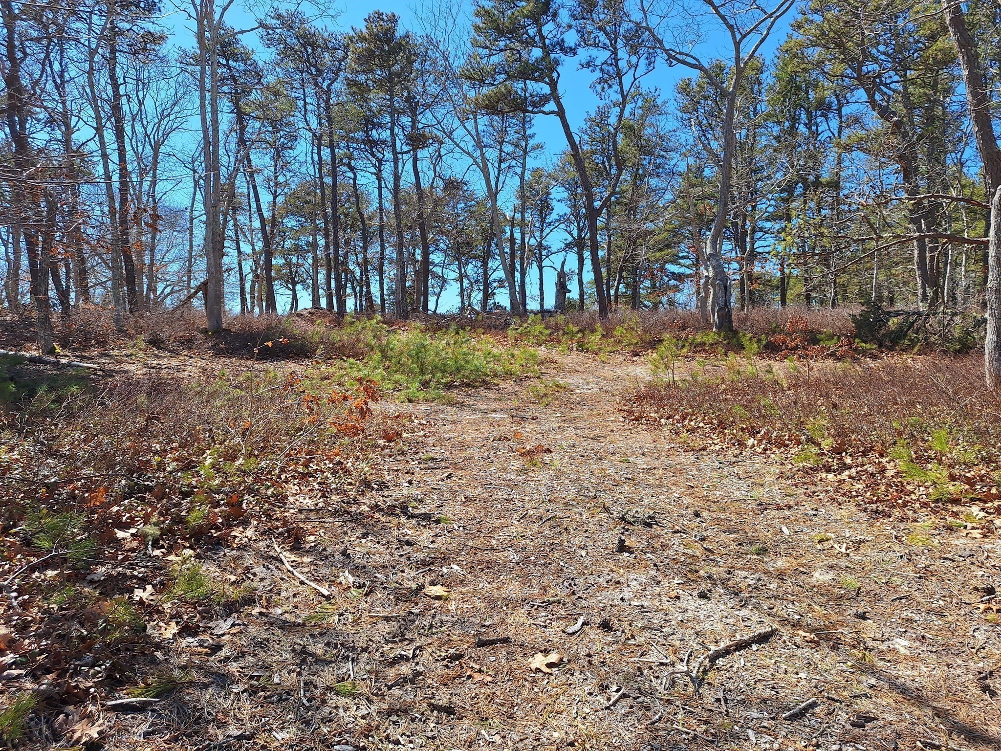 37 Oak Valley Rd Property Photo 12