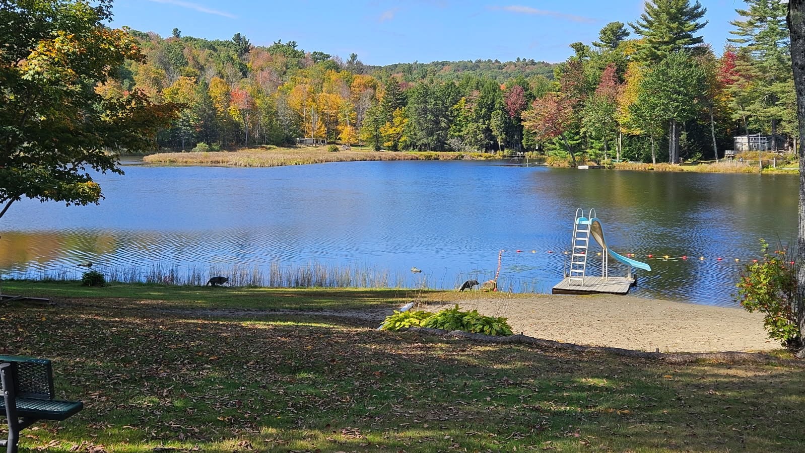 8 Deer Run Path Property Photo 1