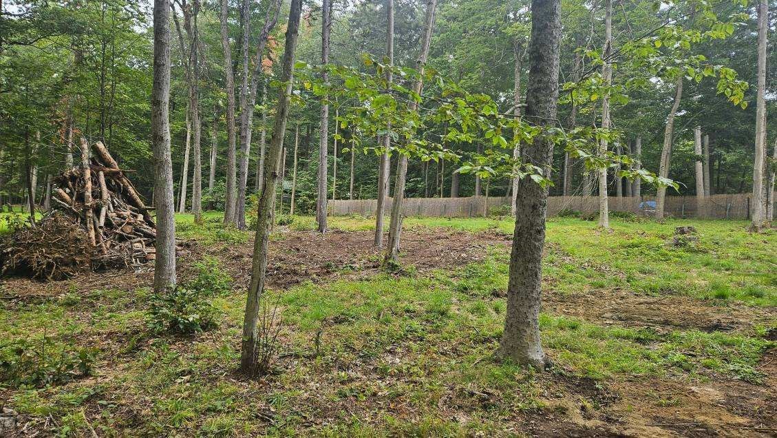8 Deer Run Path Property Photo 5