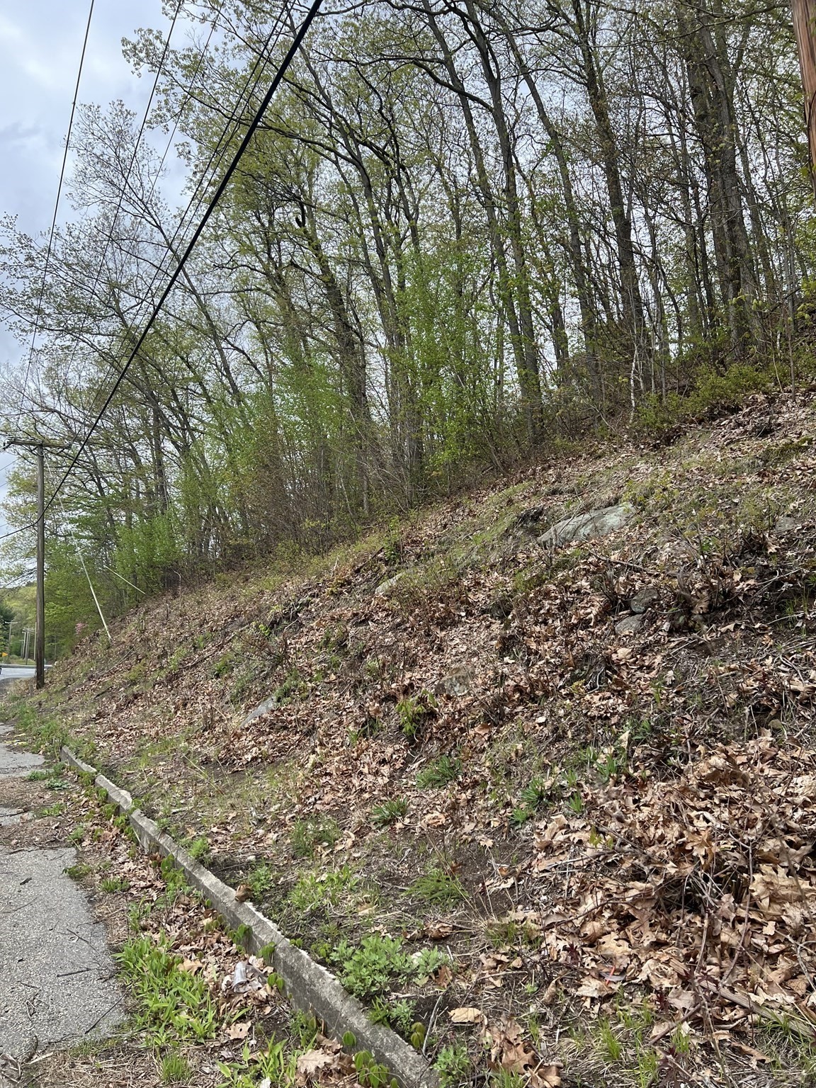 Lot 34 Old Warren Road Property Photo 3