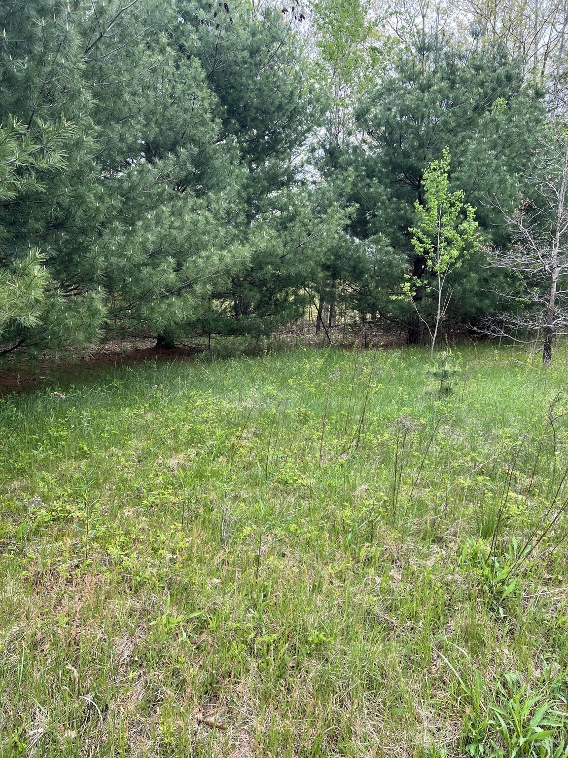 599-607 Old Warren Road Property Photo 7
