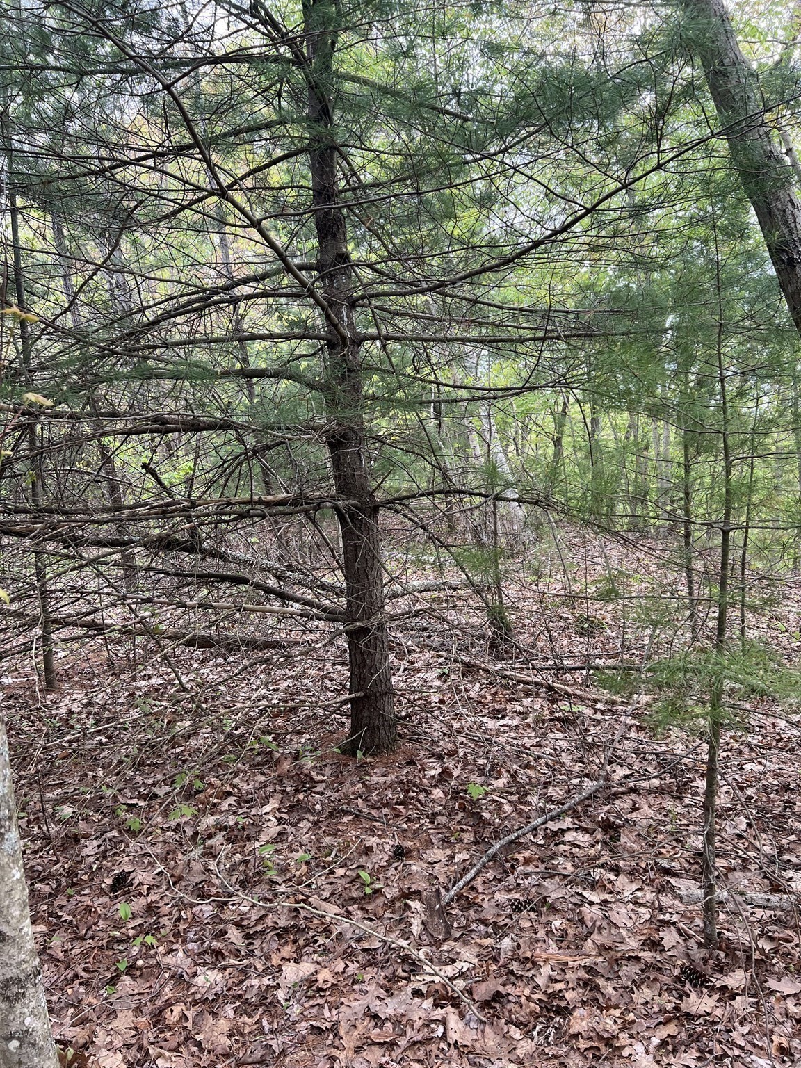 599-607 Old Warren Road Property Photo 8