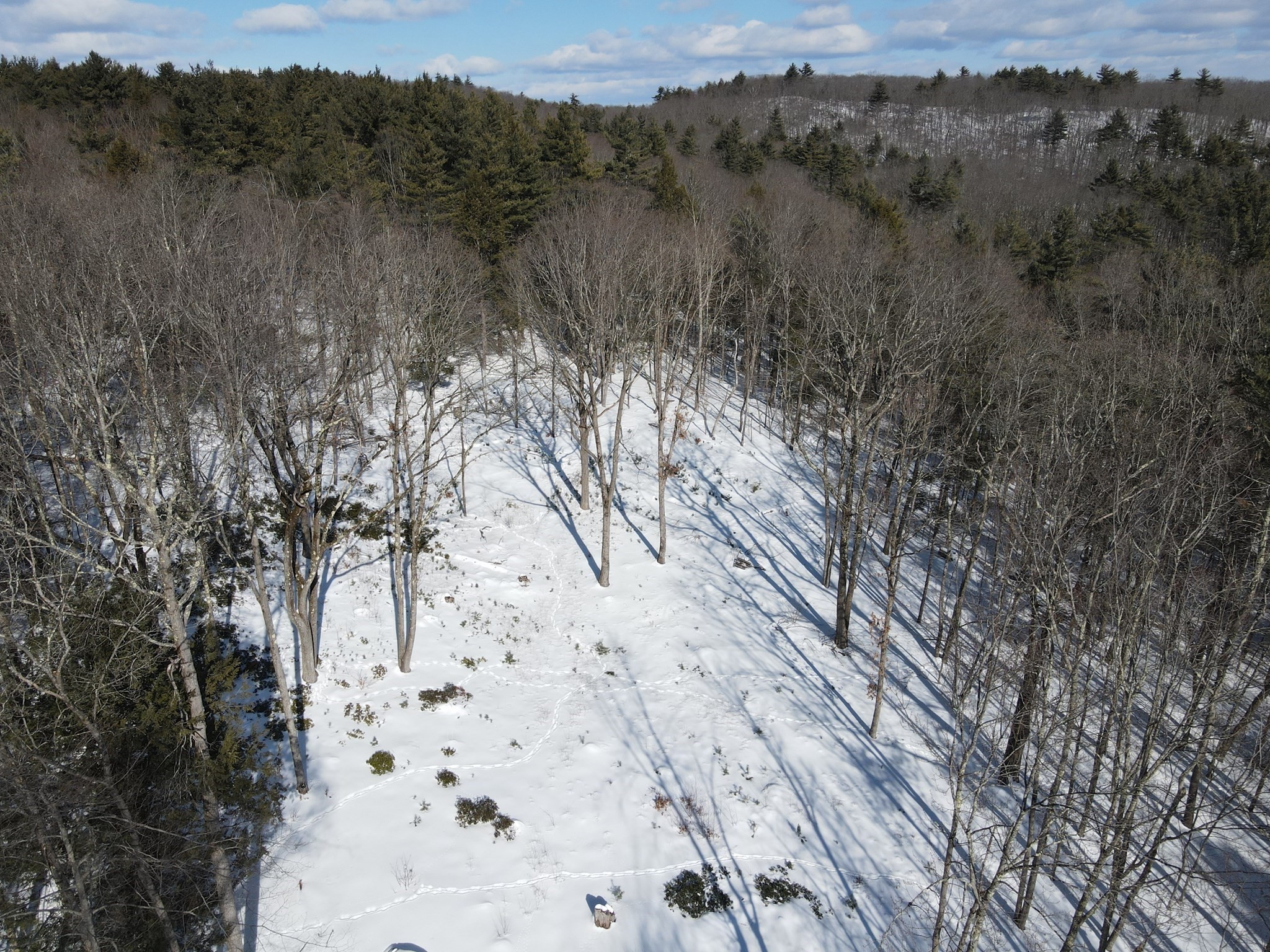 0 Fox Hill Rd Property Photo 3